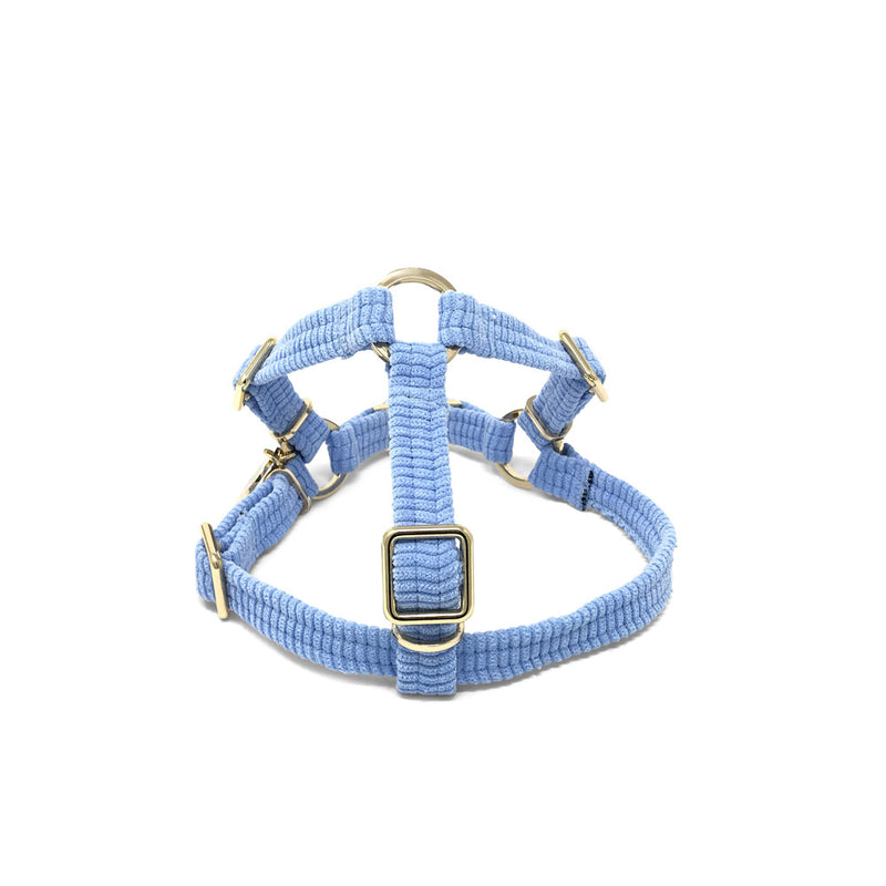 Cord Non-Pull Dog Harness - Forget Me Not