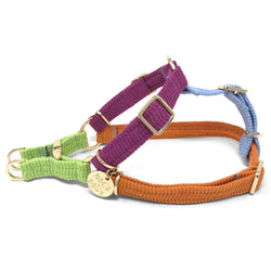 Cord Non-Pull Dog Harness - Fruit Salad