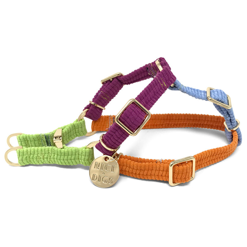 Cord Non-Pull Dog Harness - Fruit Salad