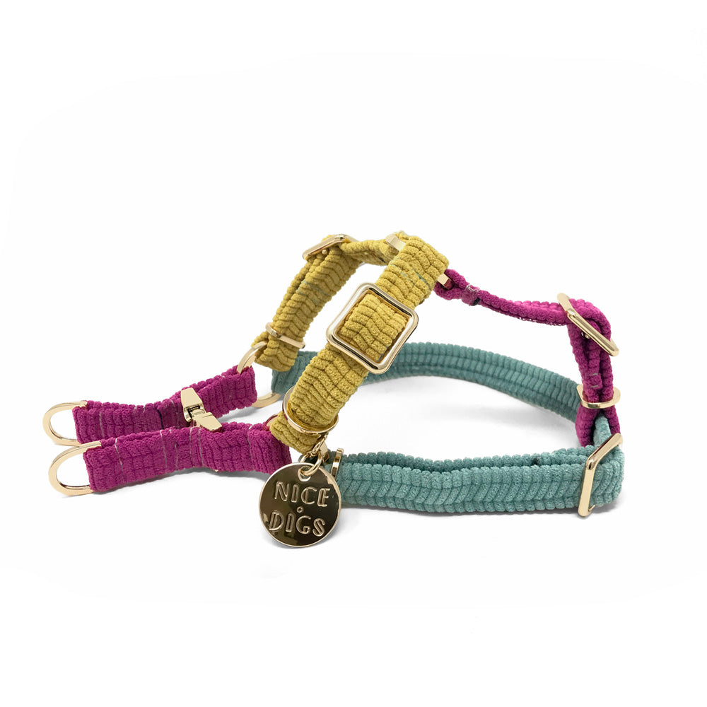 Cord Non-Pull Dog Harness - Hidden Gem