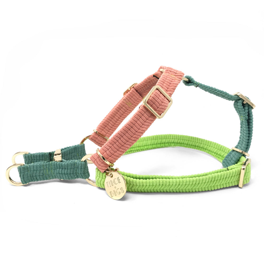 Cord Non-Pull Dog Harness - Papaya
