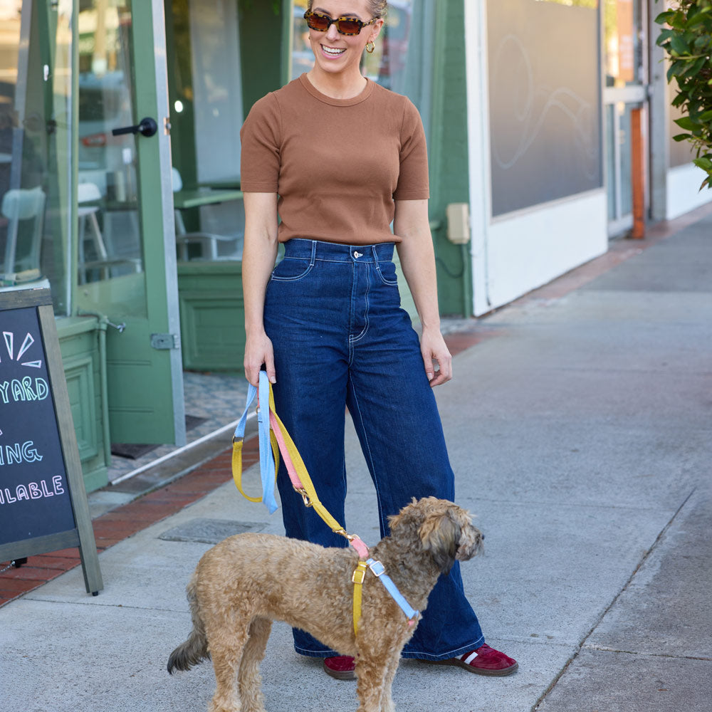 Cord Non-Pull Dog Harness - First Light