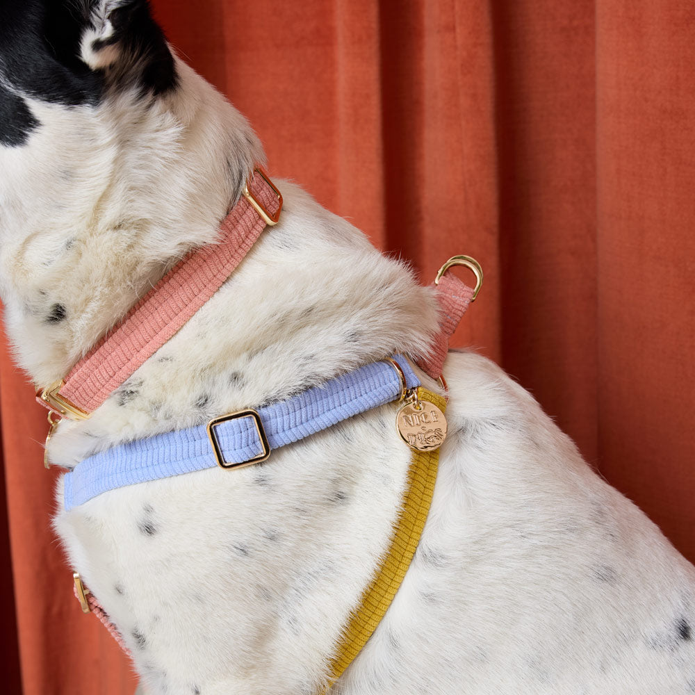 Cord Non-Pull Dog Harness - First Light