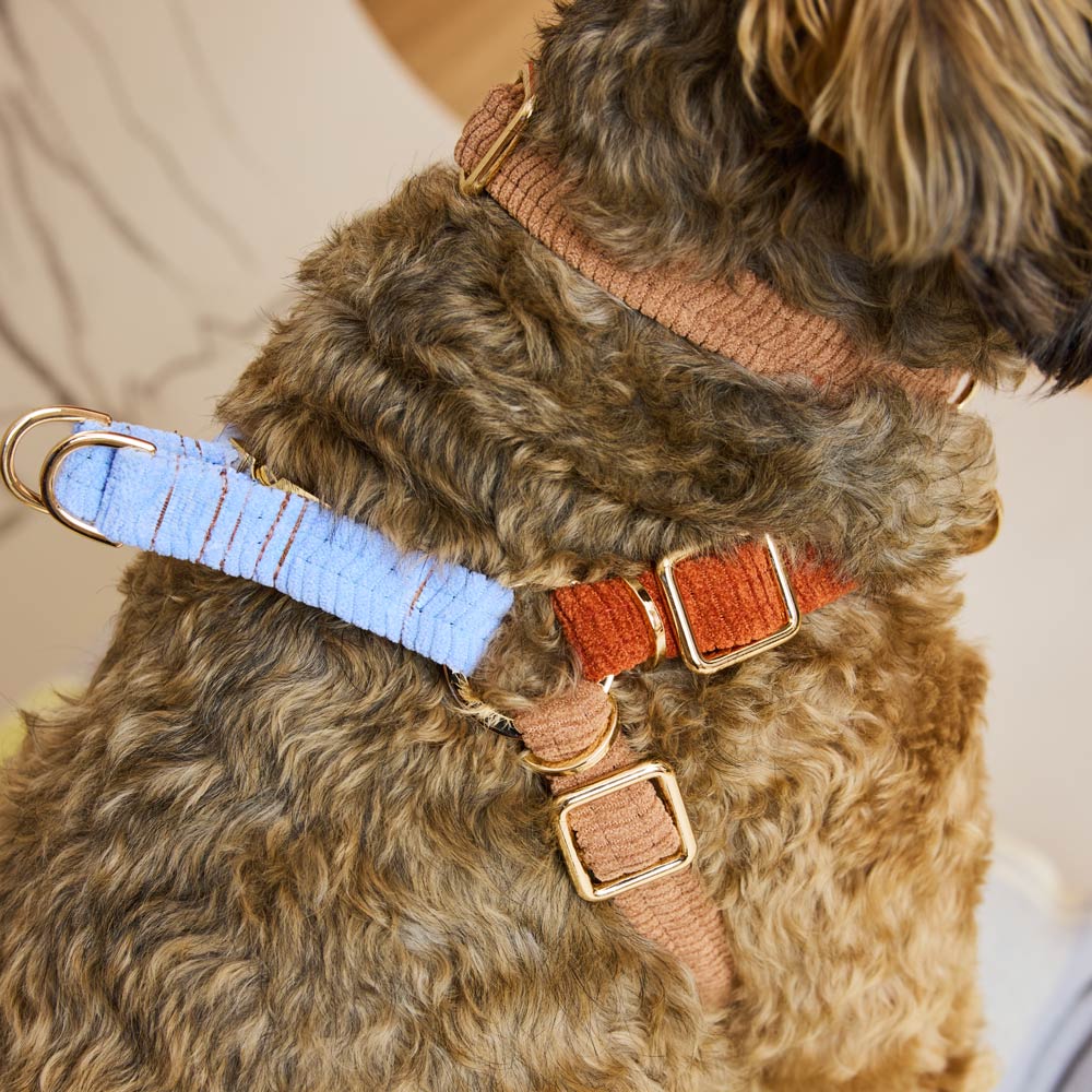 Cord Non-Pull Dog Harness - The Lakehouse