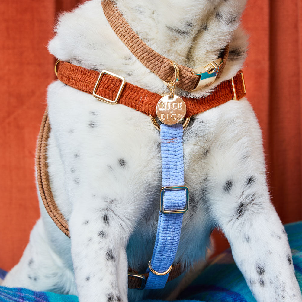 Cord Non-Pull Dog Harness - The Lakehouse