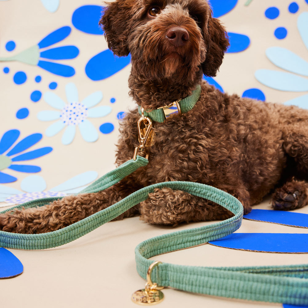 Cord Leash - Eucalyptus