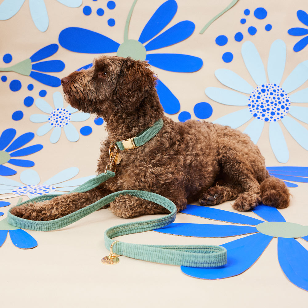 Cord Leash - Eucalyptus