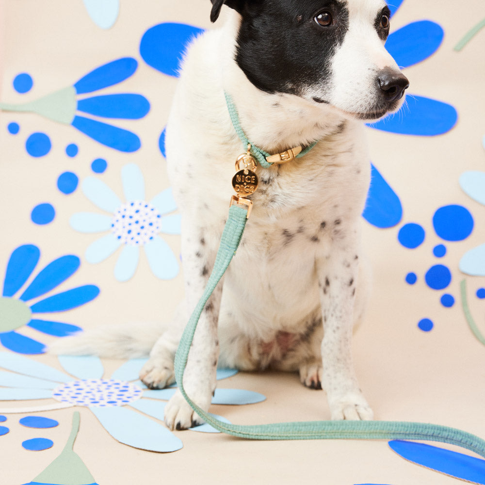 Cord Leash - Eucalyptus