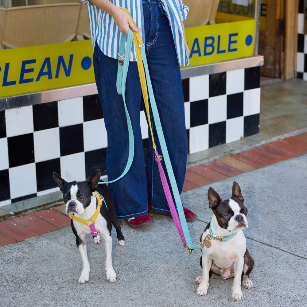 Cord Adjustable Dog Leash - Hidden Gem