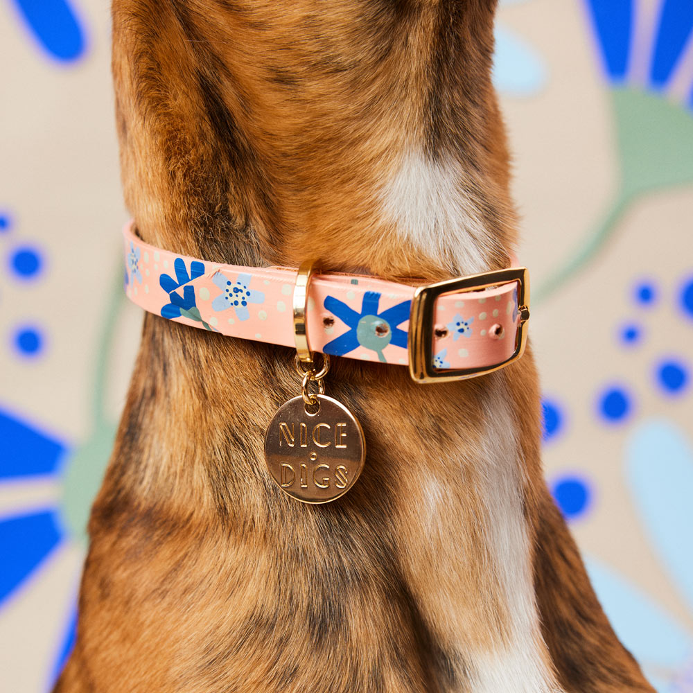 Friendship Posey Leather Dog Collar