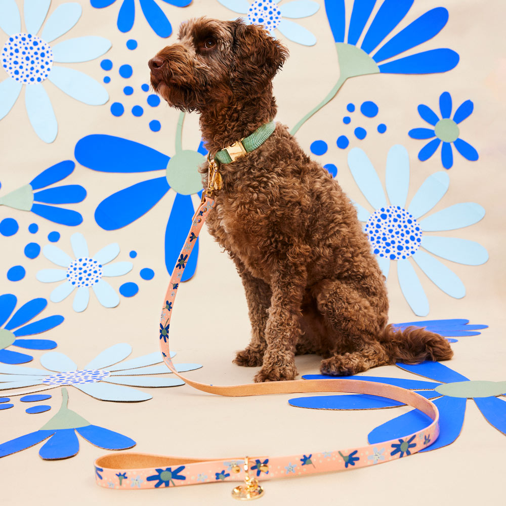 Friendship Posey Leather Dog Leash