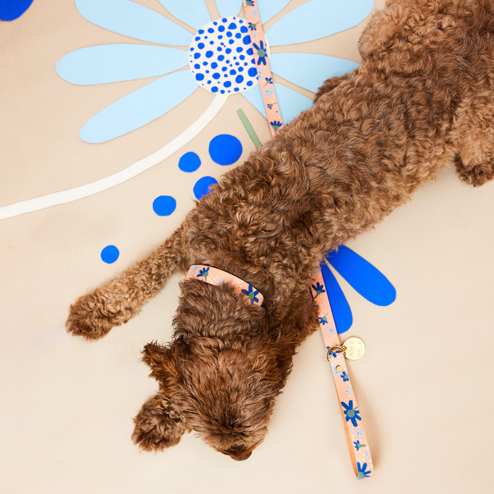 Friendship Posey Leather Dog Leash