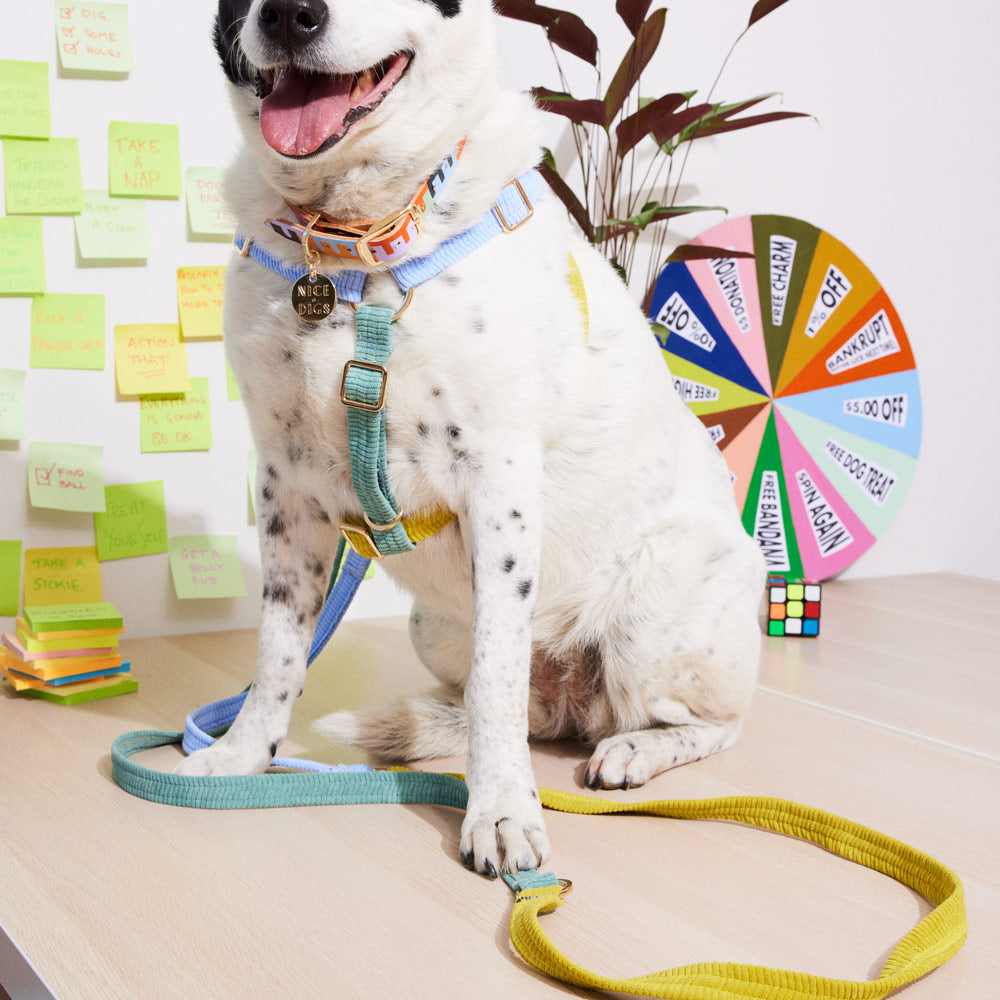 Cord Non-Pull Dog Harness - Cloud Burst
