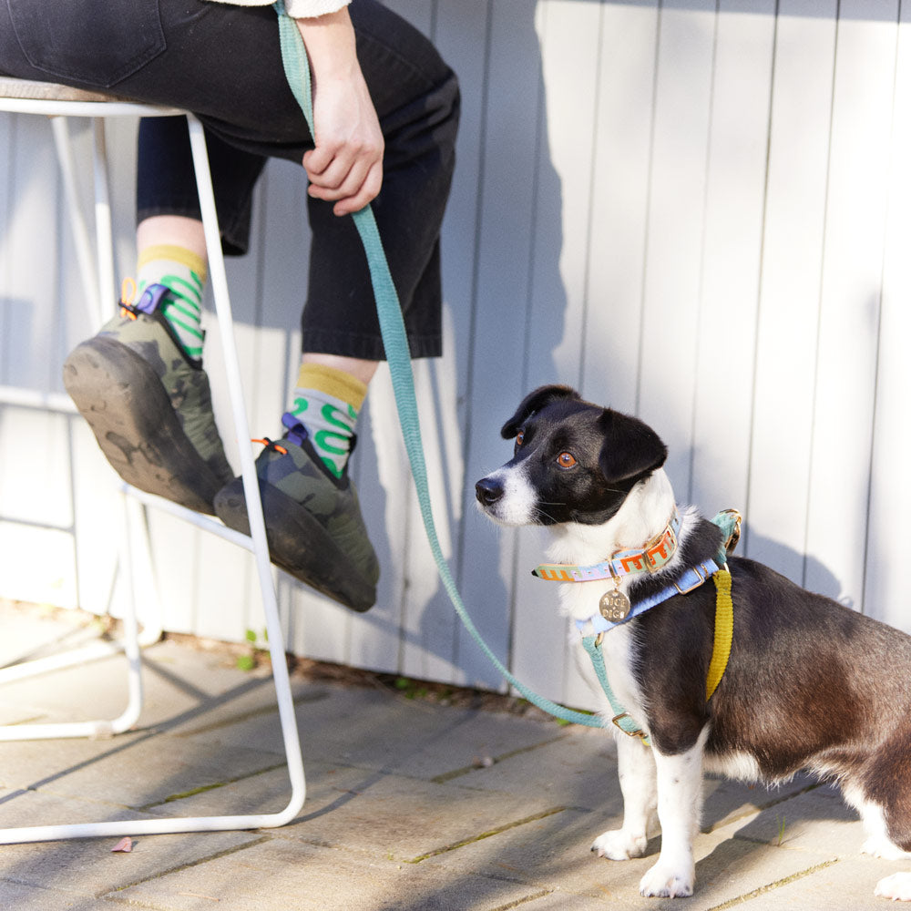 Cord Non-Pull Dog Harness - Cloud Burst