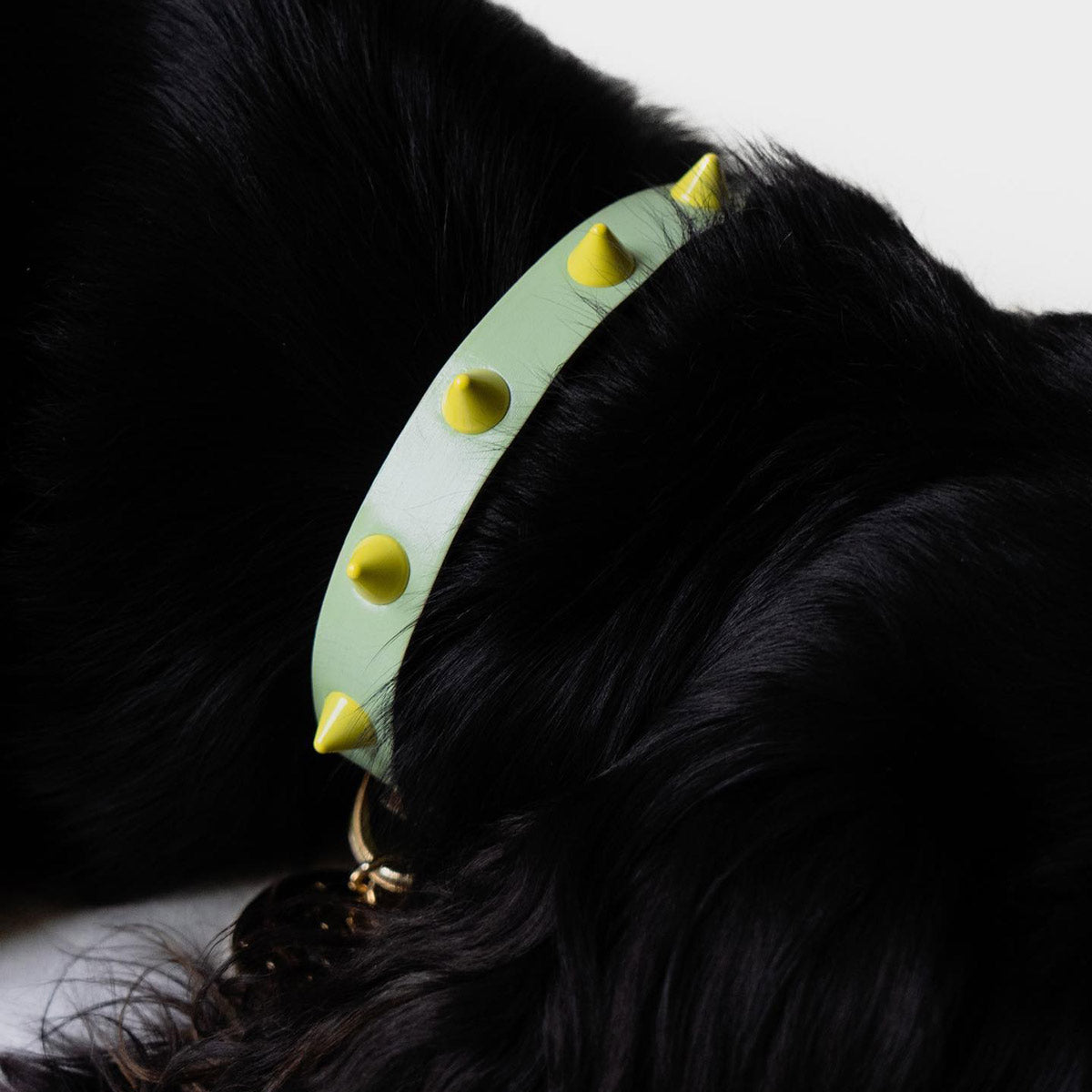 Smooth Spike Leather Dog Collar - Lime Pistachio