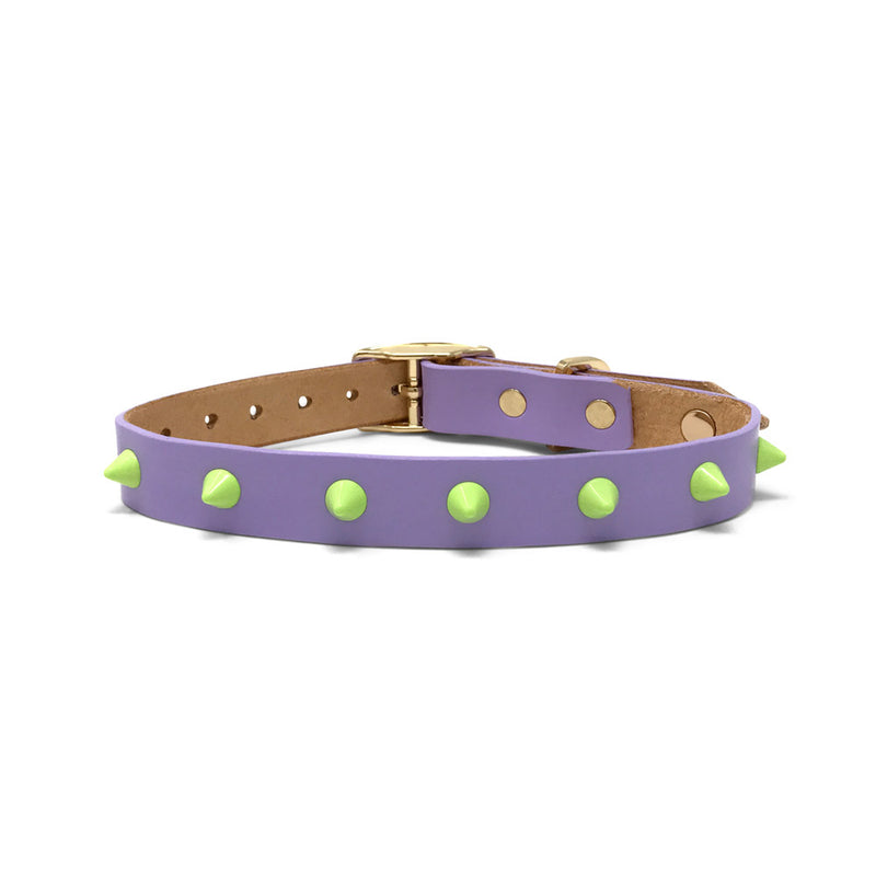 Smooth Spike Leather Dog Collar - Lime Drops