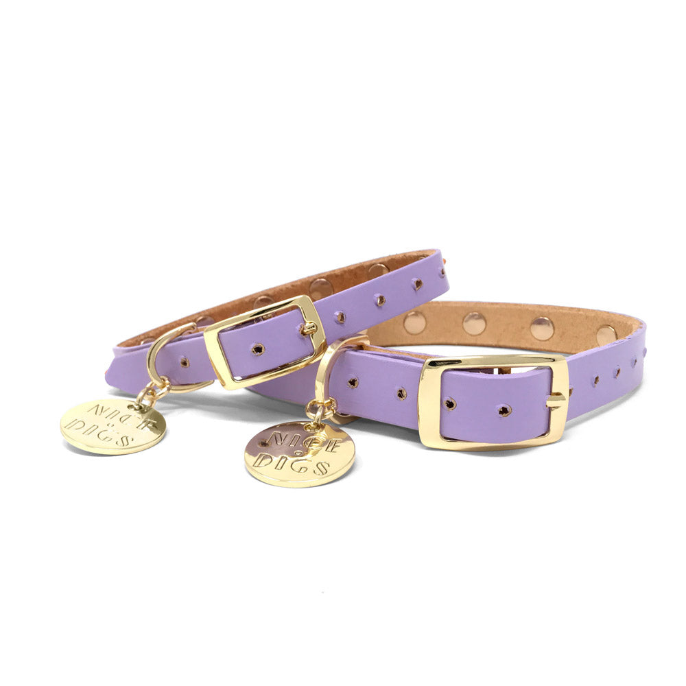 Smooth Spike Leather Dog Collar - Melon Ball