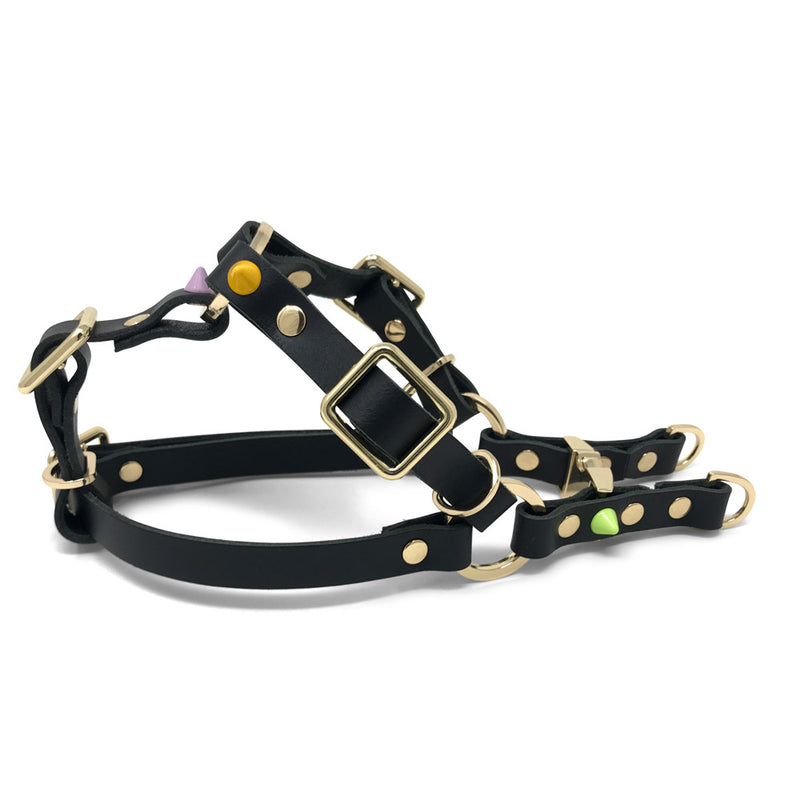 Spike Leather Non-Pull Dog Harness - All Sorts