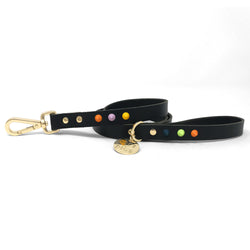 Smooth Spike Leather Dog Leash - All Sorts