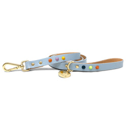 Smooth Spike Leather Dog Leash - Jelly Beans
