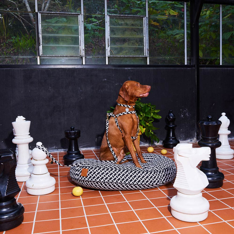 Check Mate Dog Bed