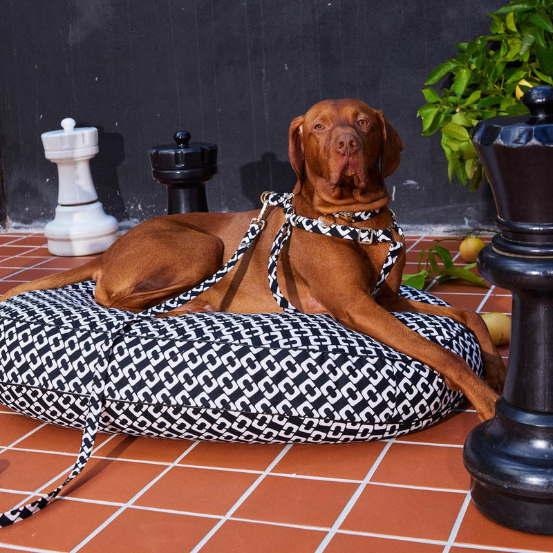 Check Mate Dog Bed
