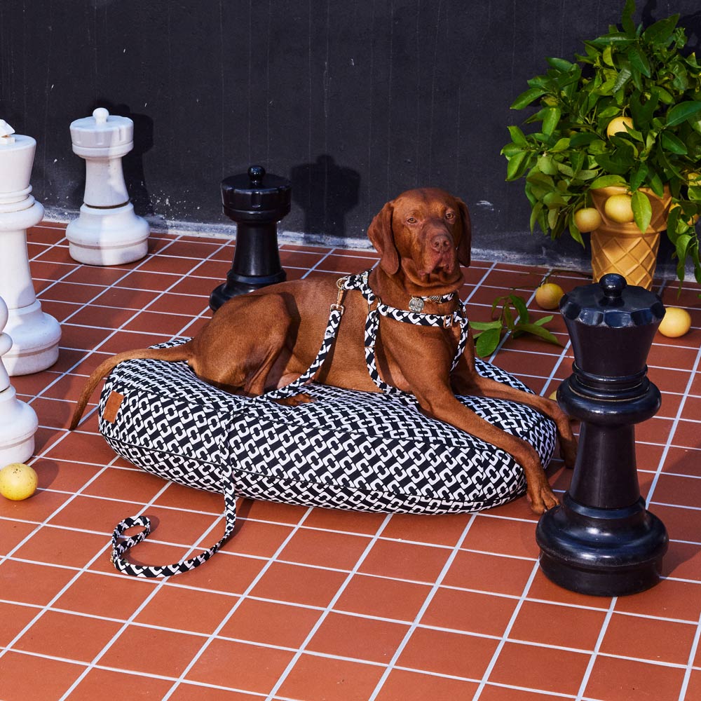 Check Mate Dog Leash