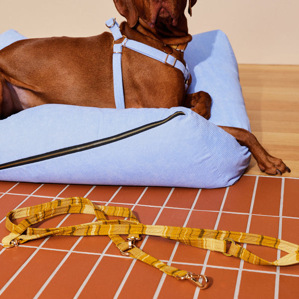 Adjustable Dog Leash - Colonel Mustard