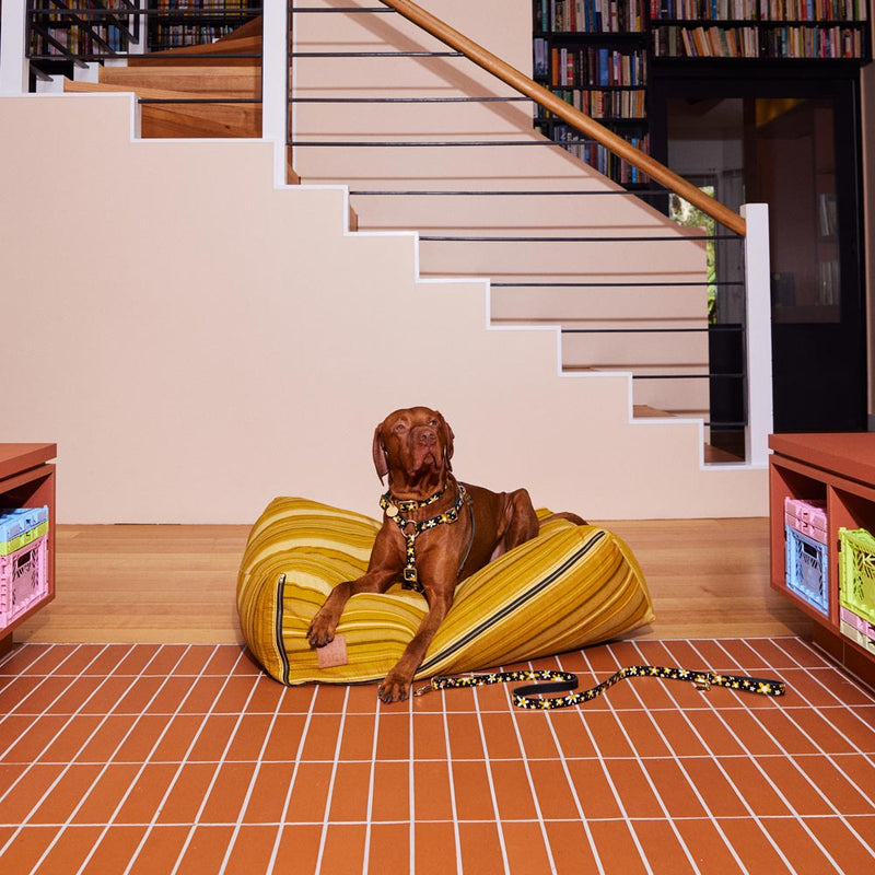 Colonel Mustard Slouch Dog Bed