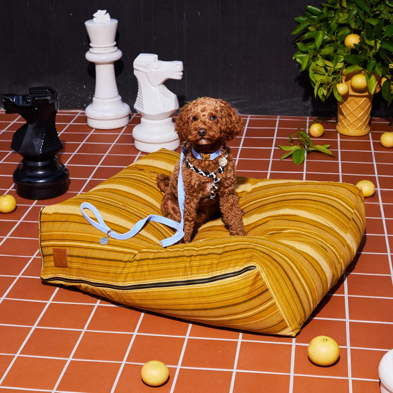 Colonel Mustard Slouch Dog Bed