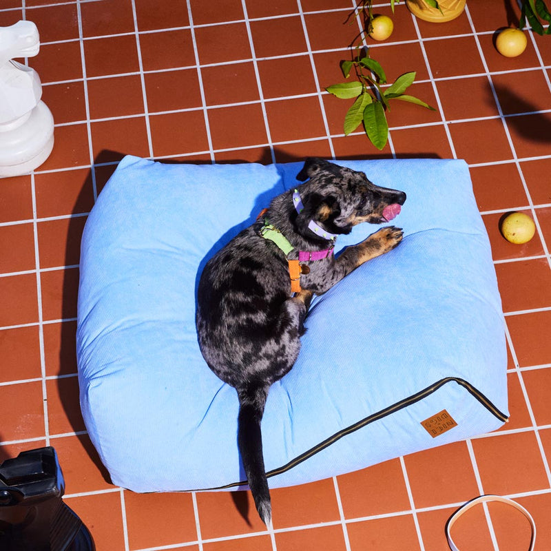 Cord Non-Pull Dog Harness - Fruit Salad