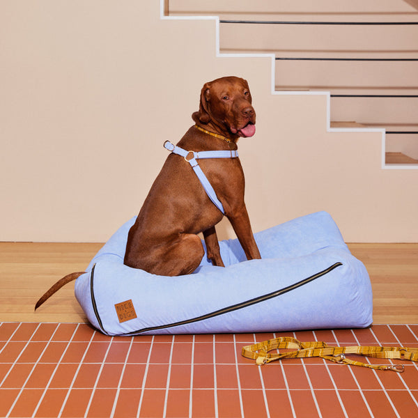 Cord Slouch Dog Bed - Forget Me Not