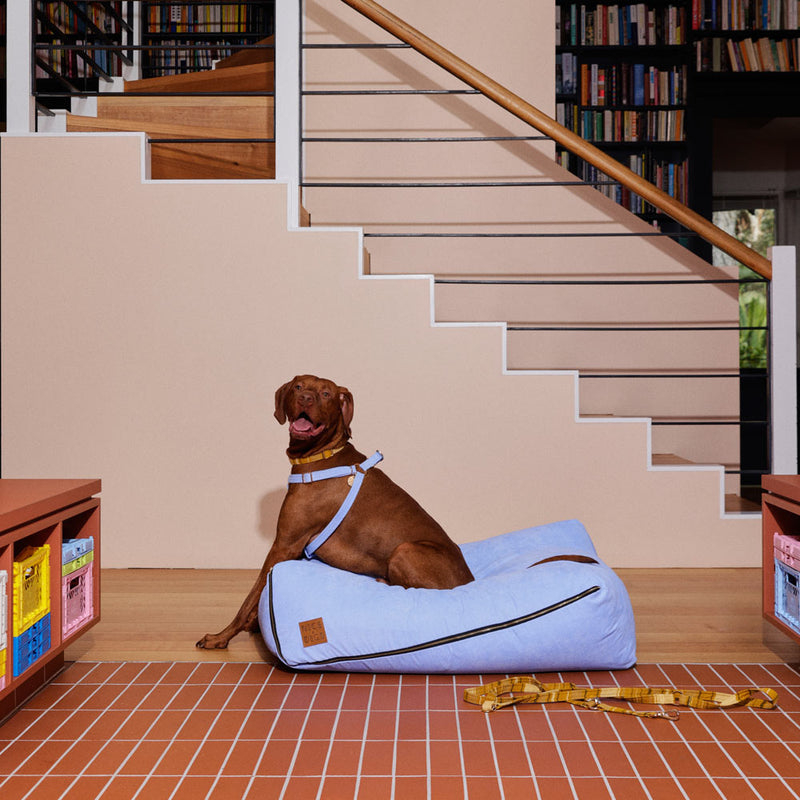 Cord Slouch Dog Bed - Forget Me Not