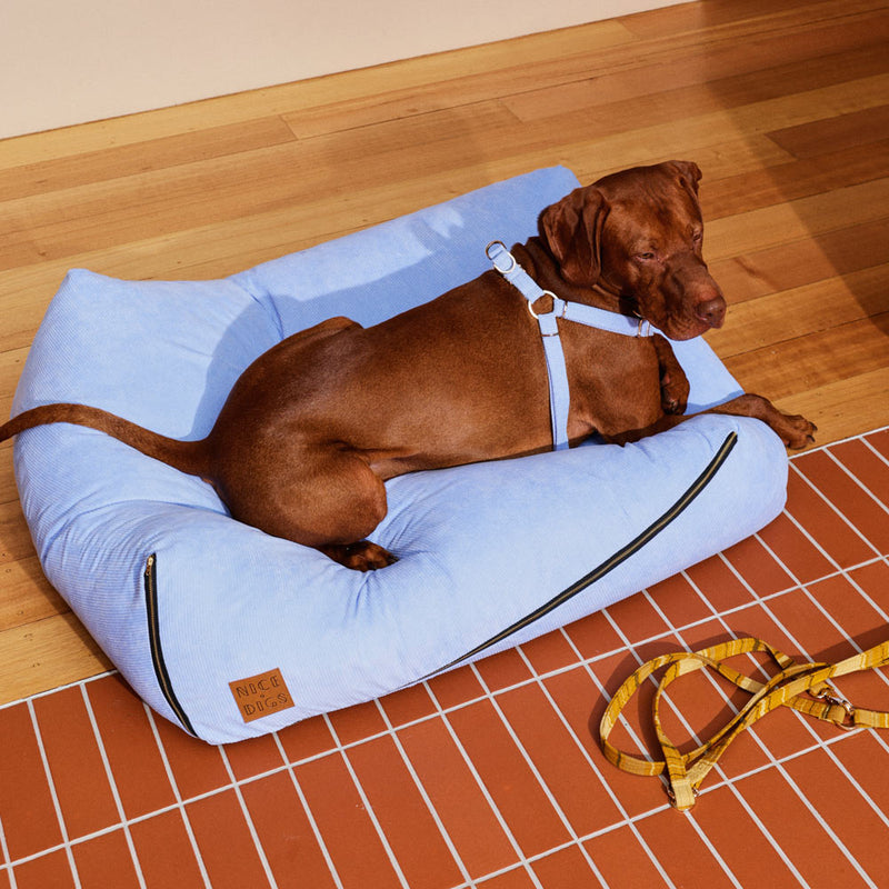 Cord Slouch Dog Bed - Forget Me Not