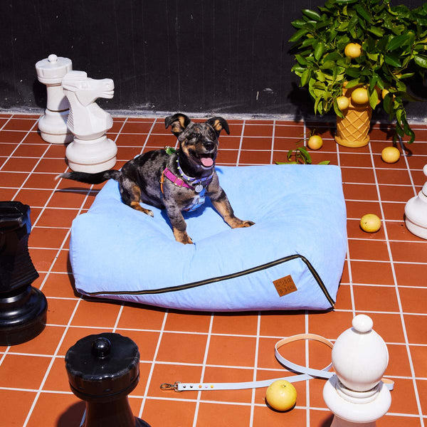 Cord Slouch Dog Bed - Forget Me Not
