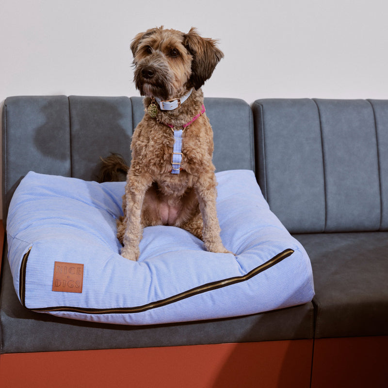 Nice digs deals dog bed