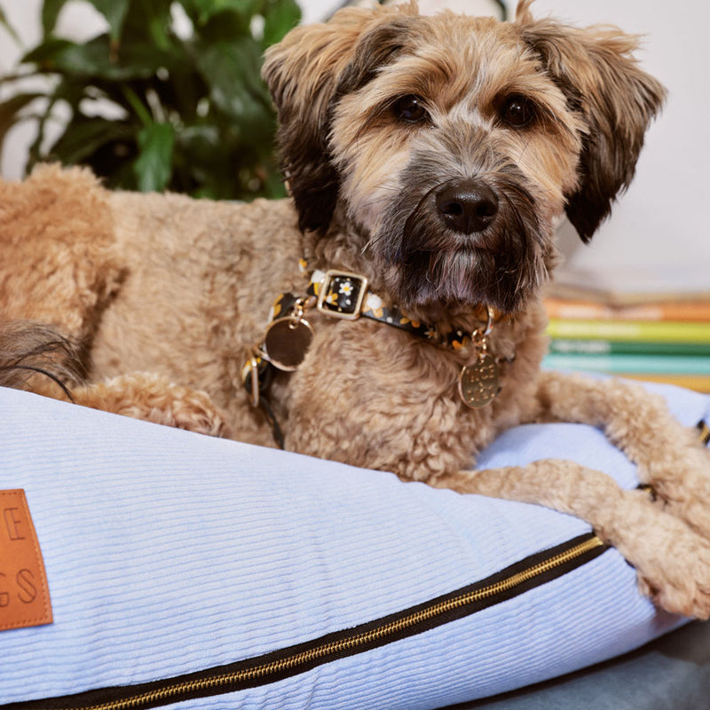 Cord Slouch Dog Bed - Forget Me Not