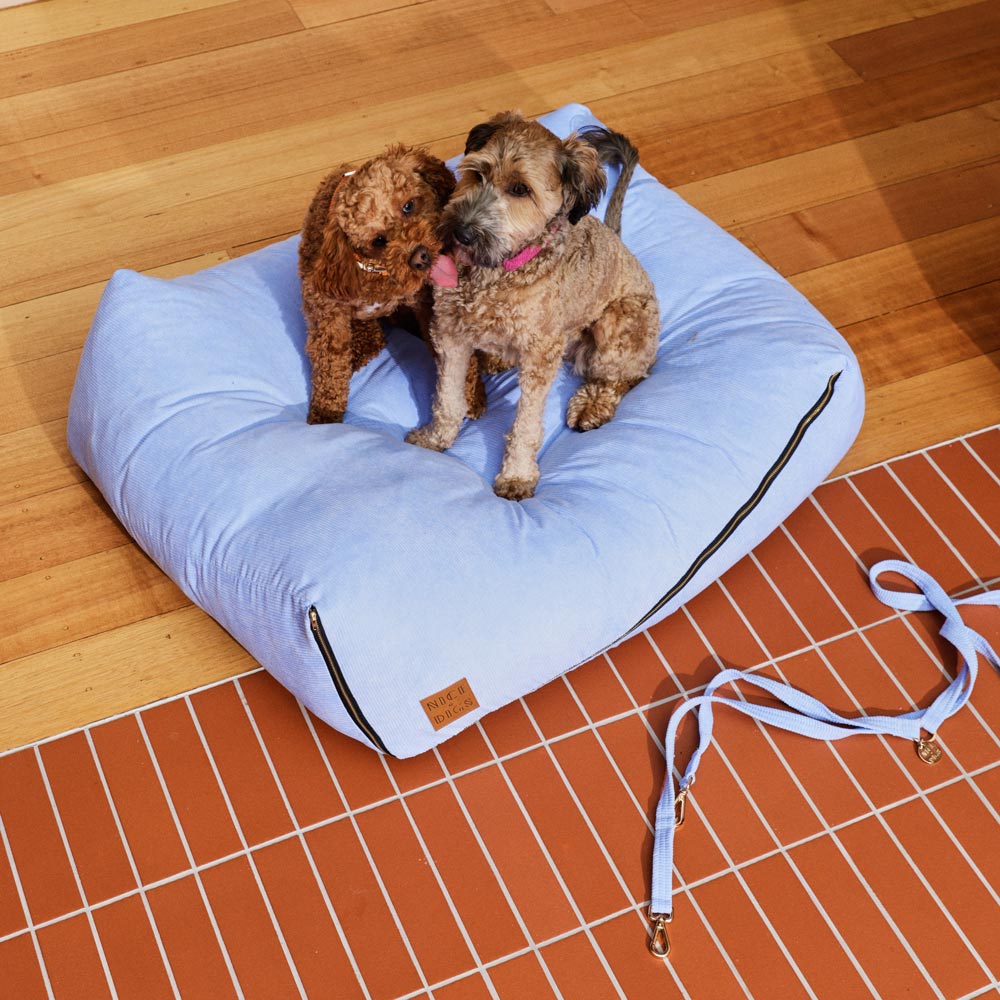 Cord Slouch Dog Bed - Forget Me Not