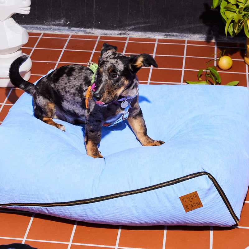 Cord Slouch Dog Bed - Forget Me Not