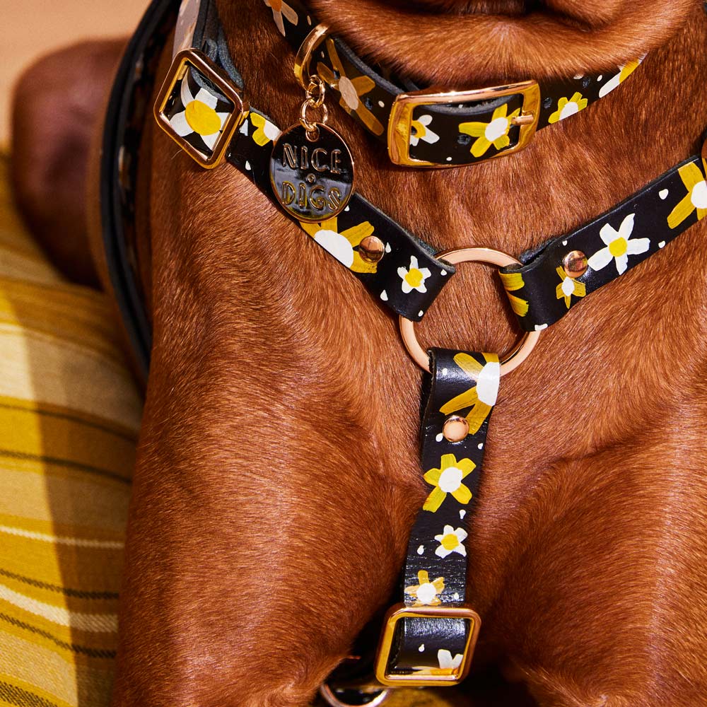 Posie Leather Non-Pull Dog Harness - Sunshine