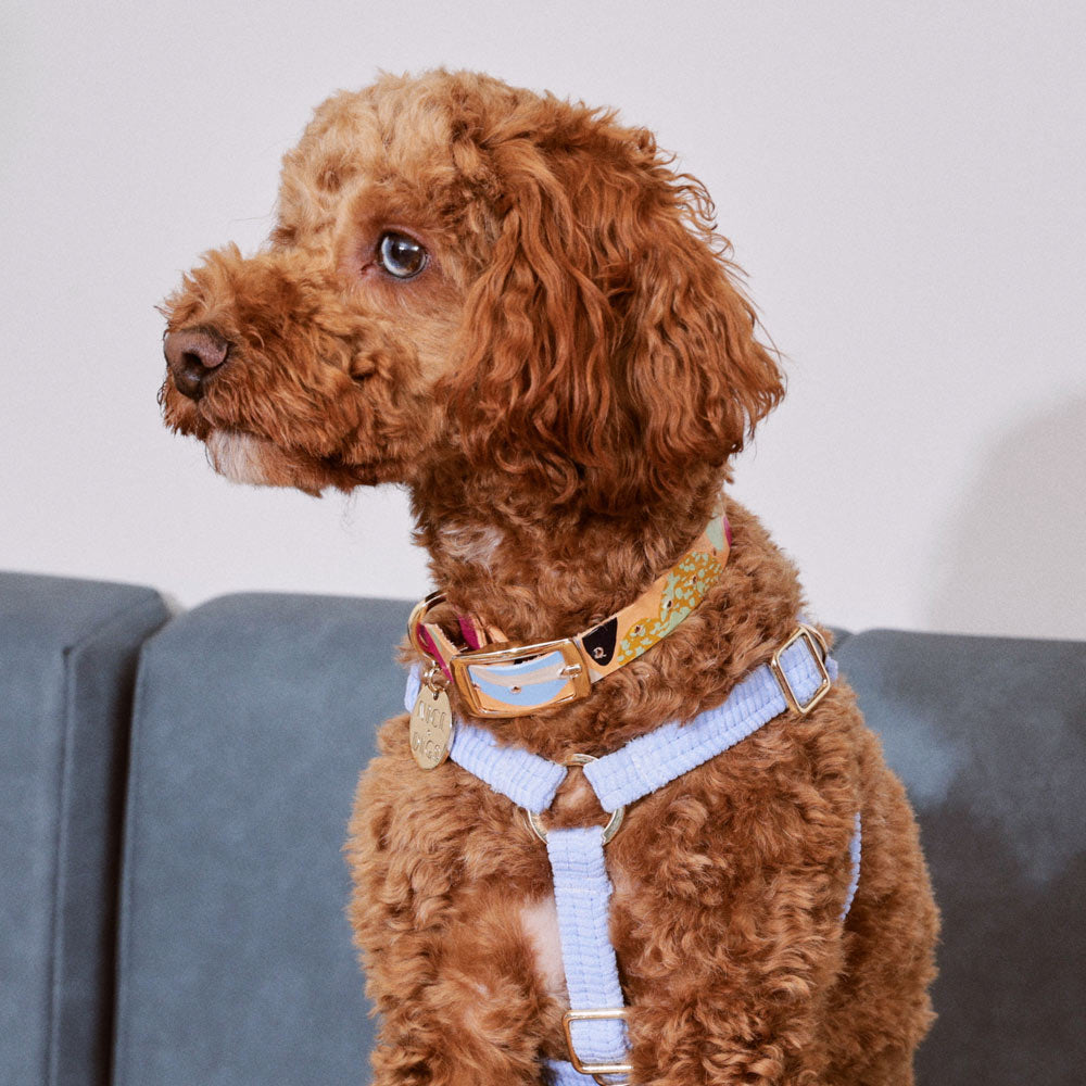 Snakes and Ladders Leather Dog Collar