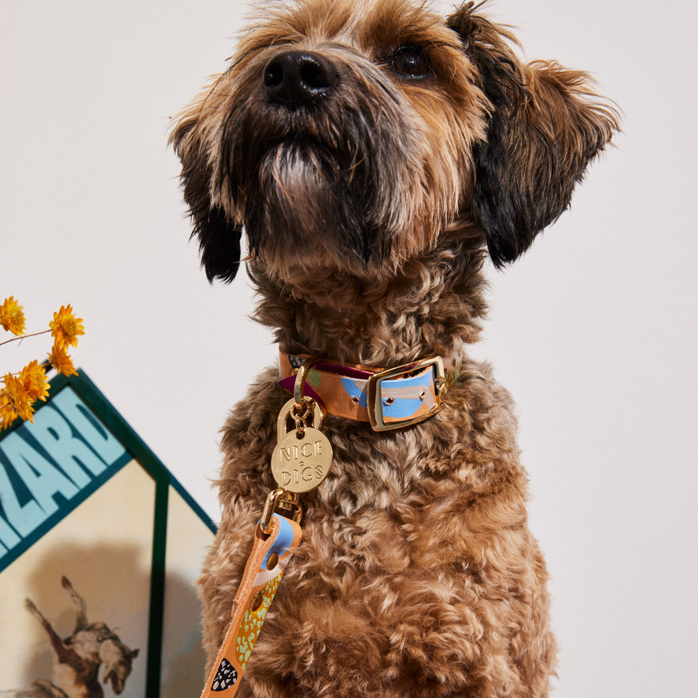 Snakes and Ladders Leather Dog Collar