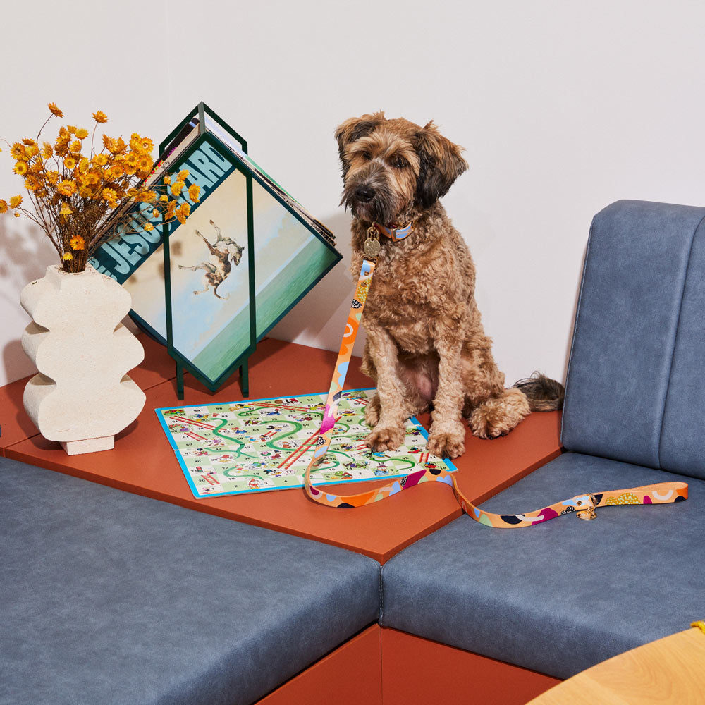 Snakes and Ladders Leather Dog Leash