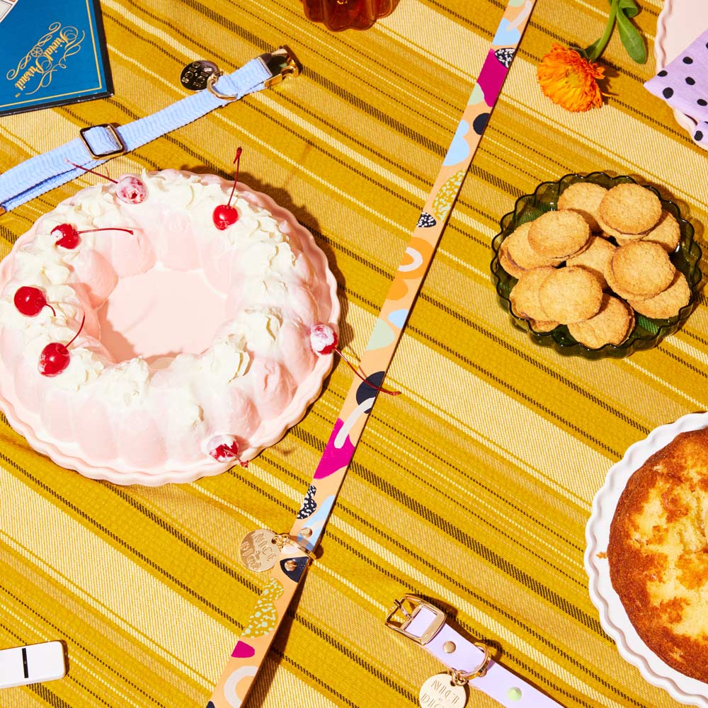 Snakes and Ladders Leather Dog Leash