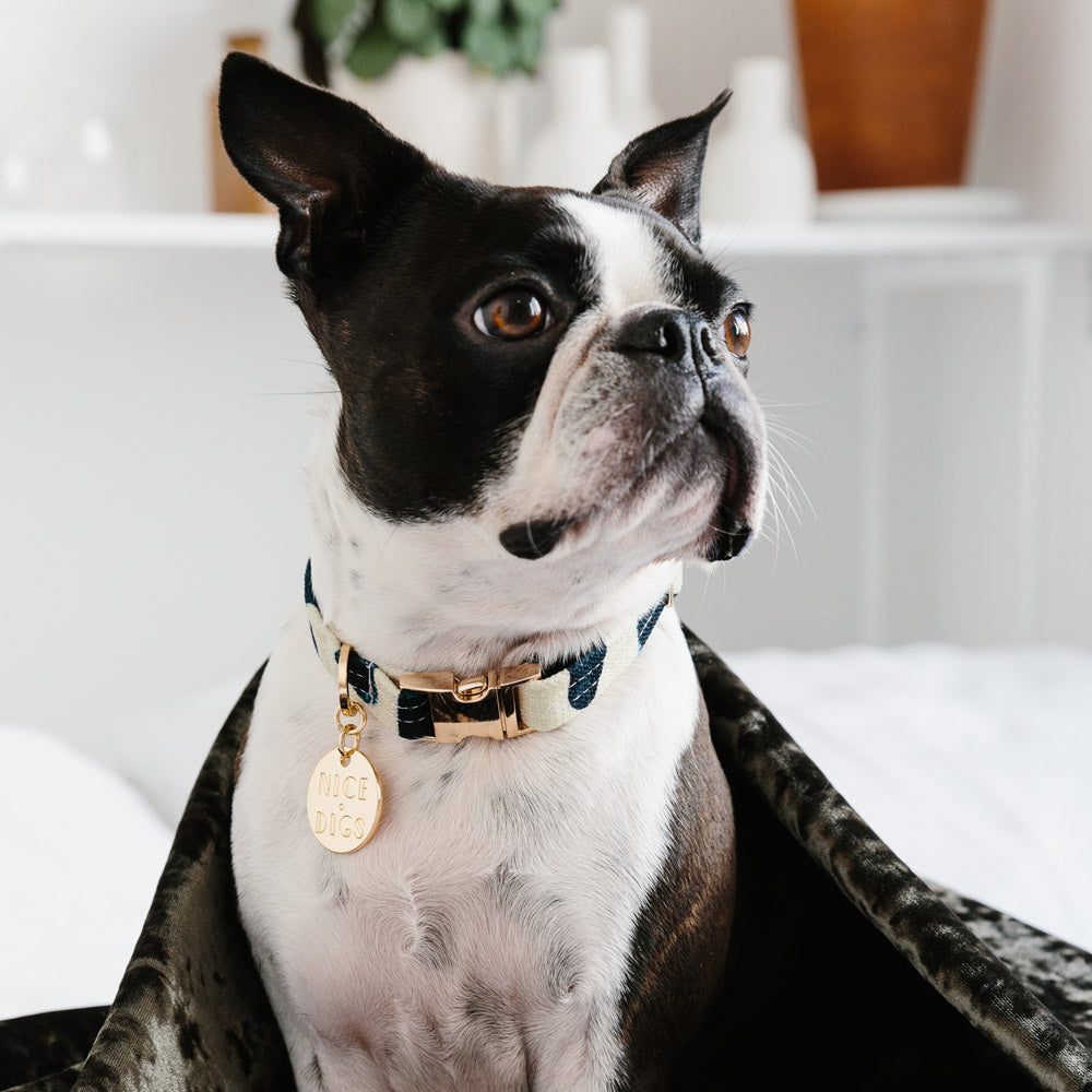 Crosshatch Printed Dog Collar