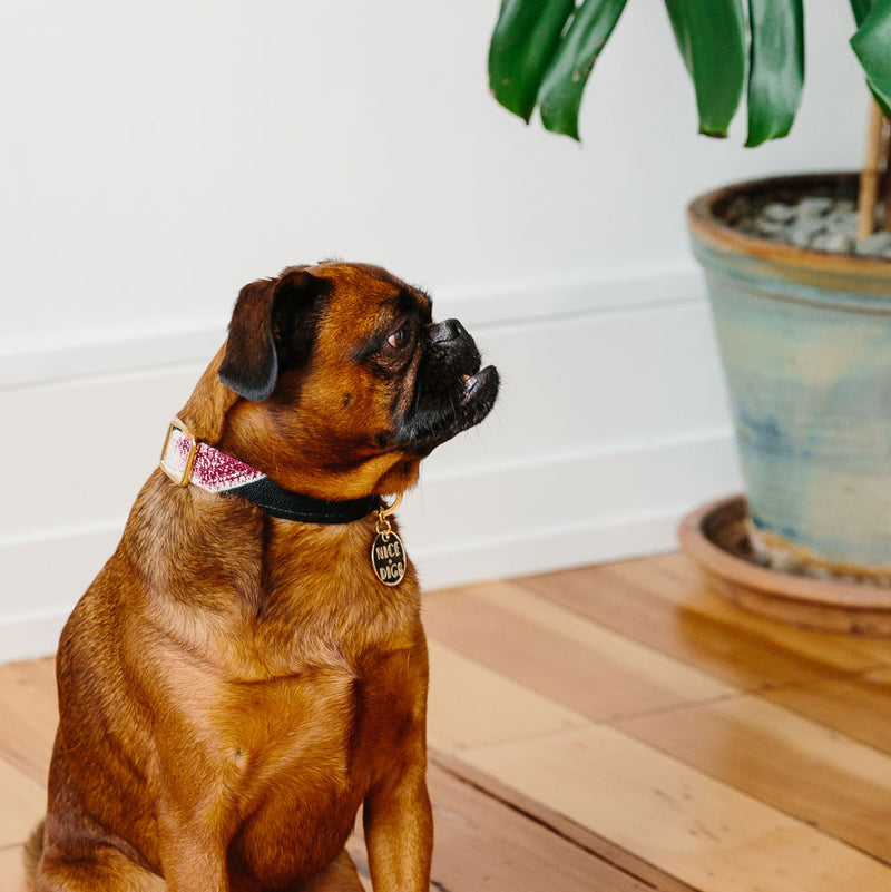 Low Key Printed Dog Collar