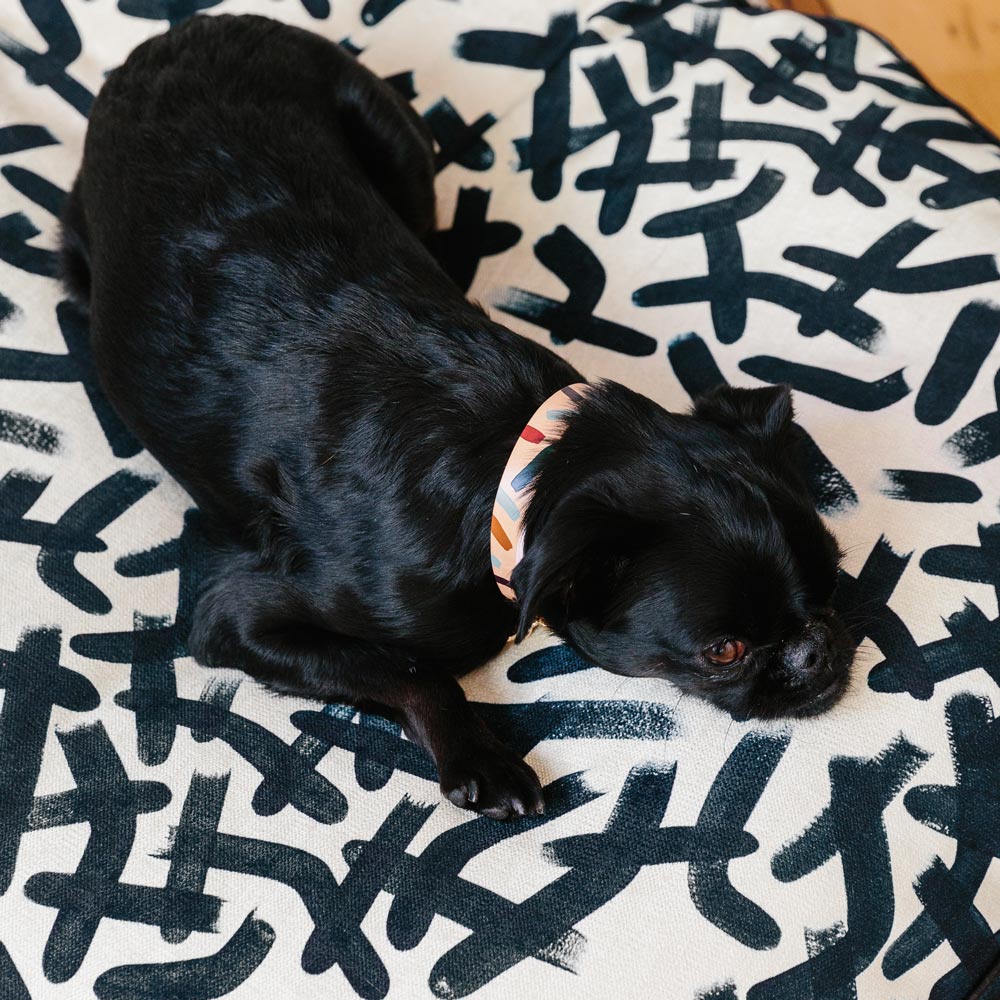 Tiggy Leather Dog Collar - Forest