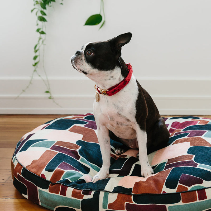 Velvet Dog Collar - Crimson