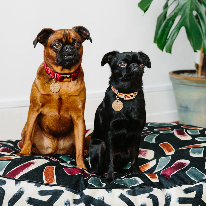 Velvet Dog Collar - Crimson