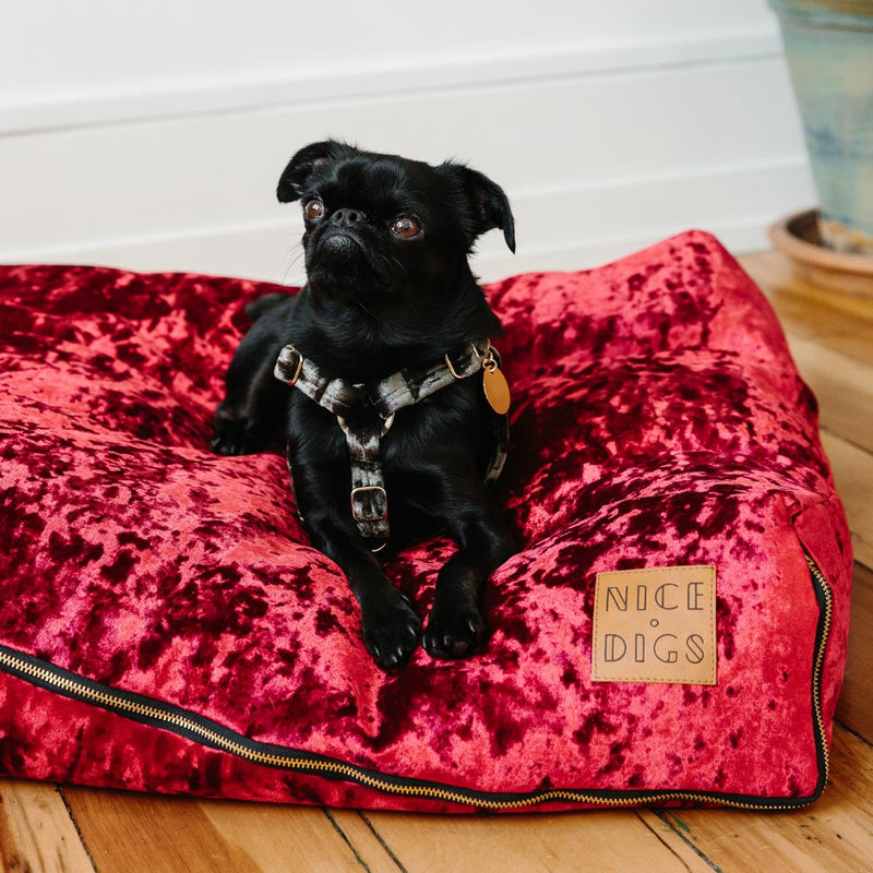 Velvet Non-Pull Dog Harness - Sage